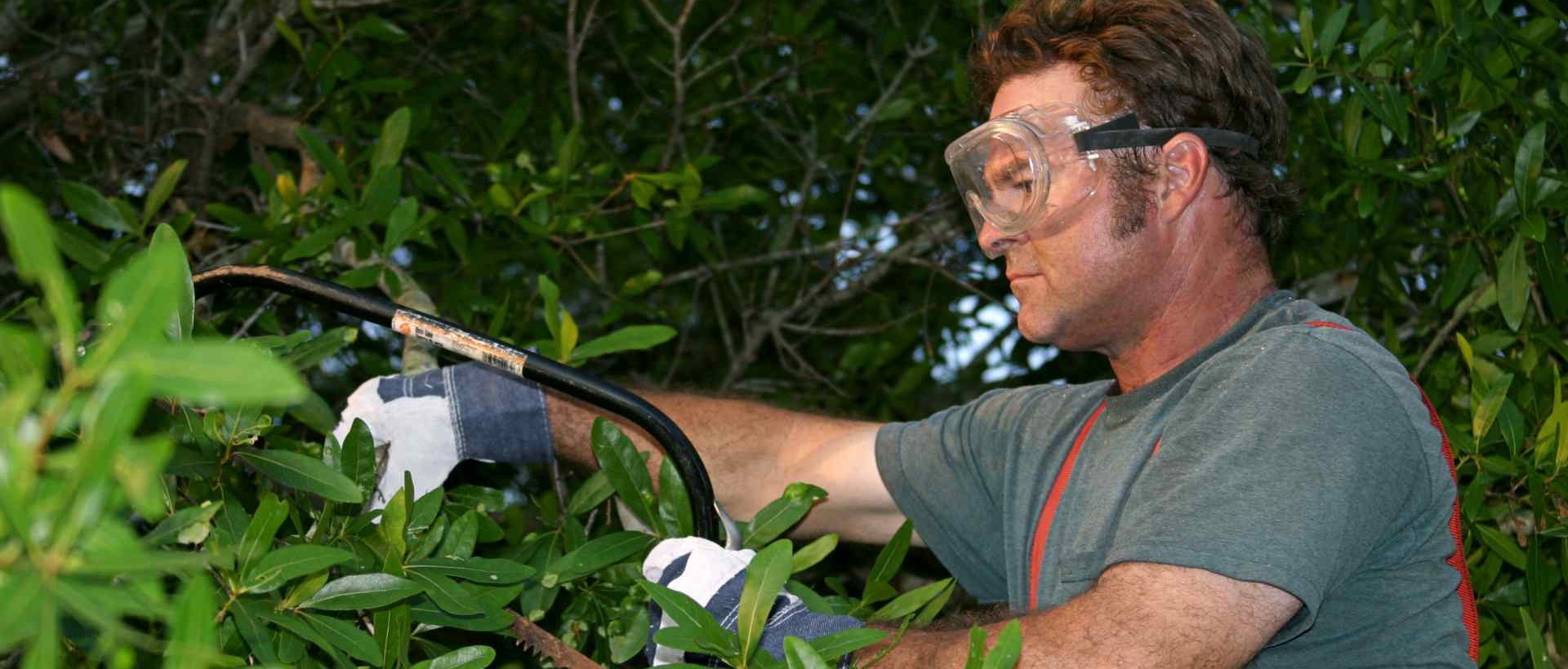 garden clearance IG6